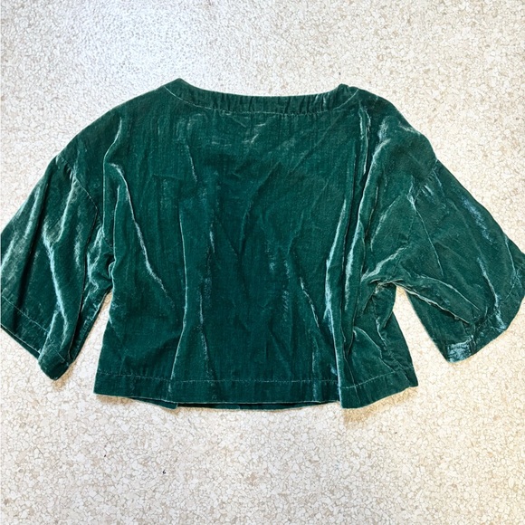 Cupcakes and cashmere green velvet bell sleeve crop top size small - Picture 3 of 7